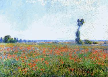 Claude Monet Poppy Field Sweden oil painting art